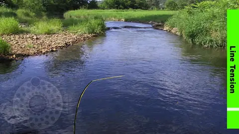 Fly Fishing Simulator